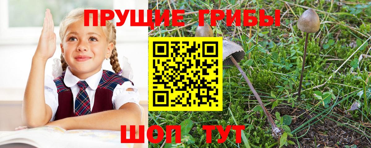 Галлюциногенные грибы MAGIC MUSHROOMS Тара