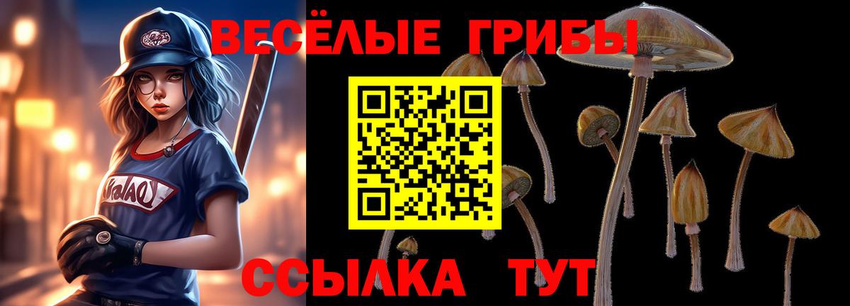 Тара  Галлюциногенные грибы мухоморы  Галлюциногенные грибы мухоморы  Вход с VPN 